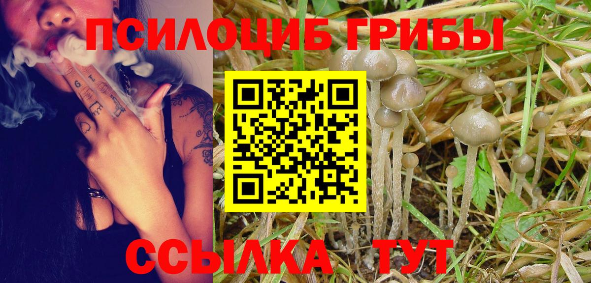 Донецк  Галлюциногенные грибы Cubensis  Вход с VPN  Галлюциногенные грибы Psilocybine cubensis 